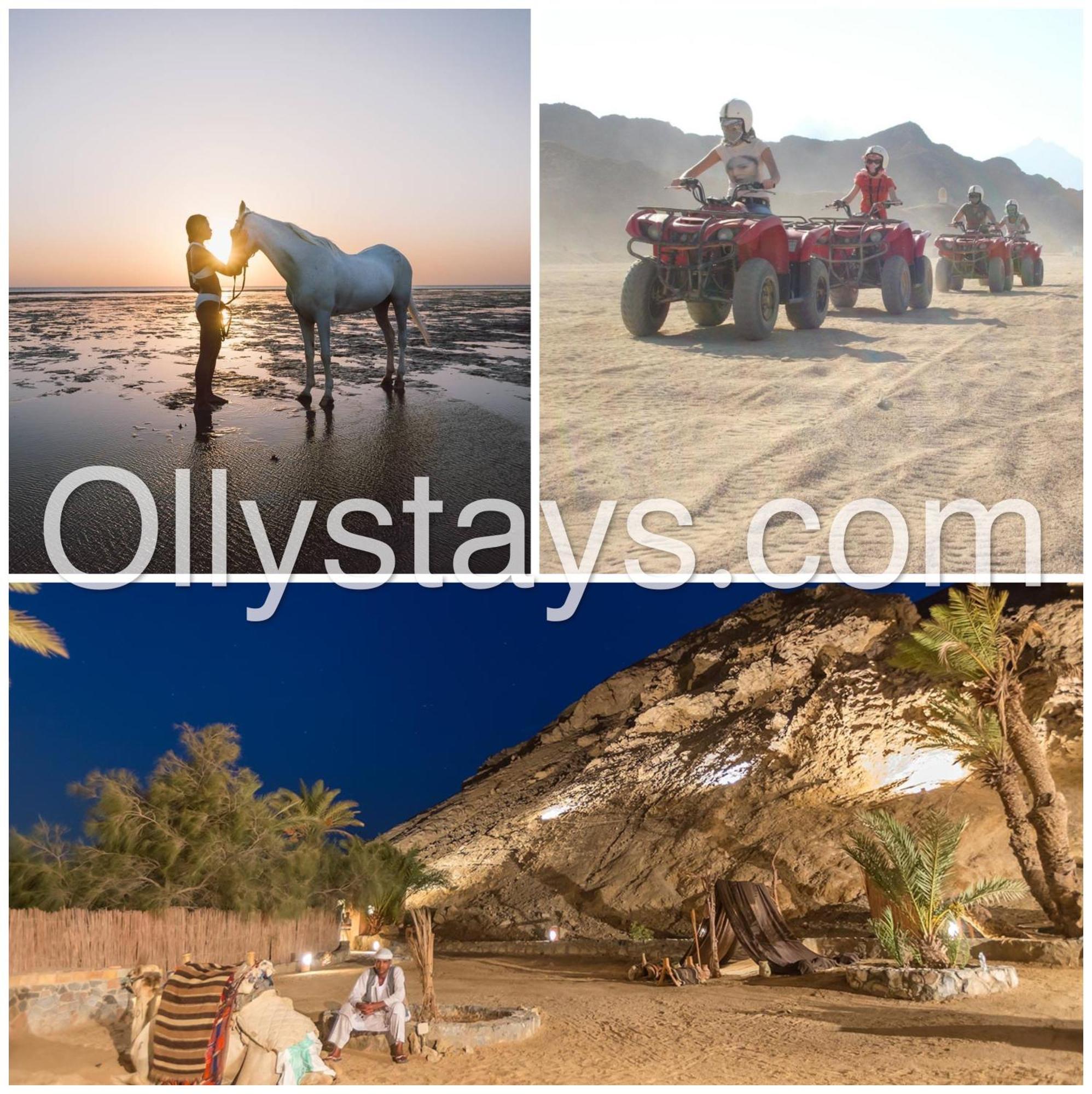 Ollystays Mangroovy Seaview 2Br Beach And Pool Free Access Hurghada Exterior photo